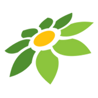 51 LK21